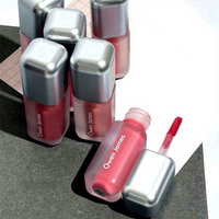 Rouge à lèvres mat waterproof en gros, tube argenté, gloss à lèvres velours brumeux, longue tenue, non-transfert, blanchissant, marque privée