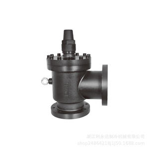 Válvula de cierre de hierro fundido Liyongda tipo flanco X flanco para refrigeración de amoníaco - Product Image 1