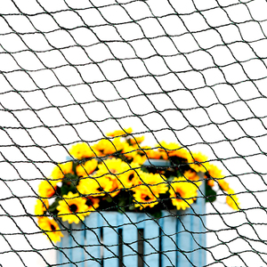 Nhà cung cấp Trung Quốc lưới x 50 'chống chim <span class=keywords><strong>Net</strong></span> cho chim gia cầm avaiary trò chơi bút mới - Product Image 3