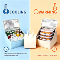 Op maat gemaakte hete pers logo recyclebare, waterdichte, thermische koeltas van non-woven materiaal, perfect voor koffie, dranken, gebak, cateringbezorging