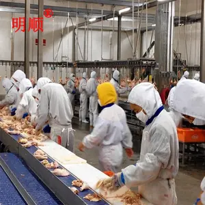 halal chicken slaughter and abattoir machine line for chicken boiler farm