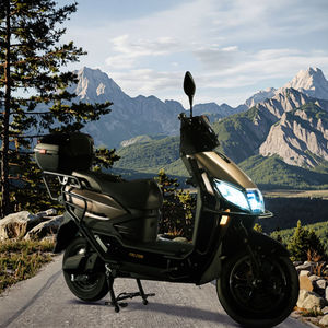 2500W Pedalunterstütztes Elektro-Straßenfahrrad Elektroroller Moped mit Pedal Anderes Elektrofahrrad - Product Image 3