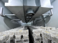 Evaporador de Tubo de Aluminio, Enfriador de Aire de Techo, Precio Competitivo, Marca JBL, Bajo Ruido, para Refrigeración Rápida