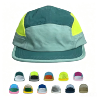 Groothandel NOVA Waterdichte 100% Polyester Ademend 7-Panel Sport Running Pet met Aangepaste 3D Borduurpatch Fruit Verstelbaar