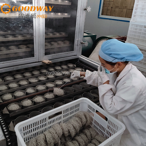 300-600 kg/giờ đùn loại dải mì thủy tinh Máy khoai lang tinh bột mì dây chuyền sản xuất - Product Image 2