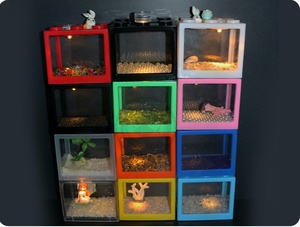 2L ตู้ปลาขนาดเล็กขนาดเล็กสร้างบล็อกใสสำหรับกล่องพลาสติกสำหรับใส่ปลาทอง - Product Image 2