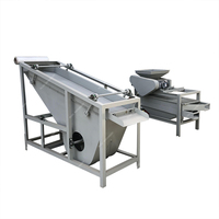 Hazelnoten Pelsmachine Amandelschelp Breken Screening Machine Pecannoten Scheller Palm Kernel Cracker En Separator Machine