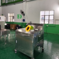 Dq Guangzhou Daqiao Industriële Commerciële Vers Fruit Snijmachine Papaja Verwerking Productielijn Motor Industriële Papaja Snijden