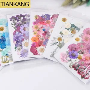 Bahan DIY baru bunga kering Makeup kuku casing ponsel bingkai tanaman kering padat alami asli bermacam-macam bunga untuk Resin