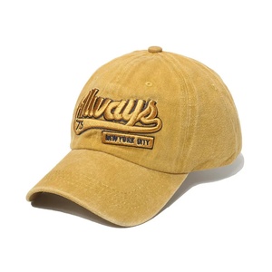 Casquette de baseball en velours côtelé imperméable en coton, brodée, 5 panneaux, style sportif, pour l'hiver et les loisirs - Product Image 3