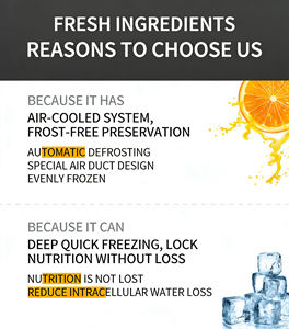 Tủ lạnh thương mại đứng bằng thép không gỉ 1/2/3 cửa 600l/1220l/2100l, cửa đứng bằng thép không gỉ, tủ đông sâu dùng cho tiệm bánh - Product Image 6