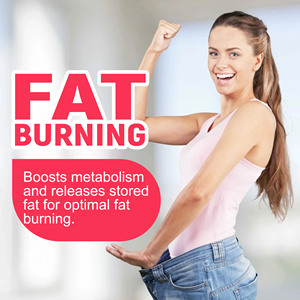 High Quality Burner Capsules with Green Tea Boosts Metabolism and Releases Stored Fat For Optimal Fat Burning Boost Metabolism - Product Image 5