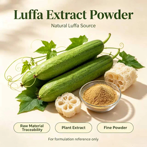 Extracto <span class=keywords><strong>de</strong></span> Luffa Dispersable en Agua <span class=keywords><strong>de</strong></span> Alta Pureza, Polvo <span class=keywords><strong>Vegetal</strong></span> Natural, Materia Prima para Bebidas Sólidas, Fórmulas Botánicas - Product Image 3