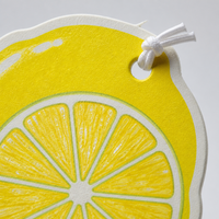 Désodorisant parfumé en forme de fruit FTQS, carte suspendue en papier, étiquette privée OEM, longue durée, cadeau automobile