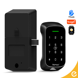 Serrure intelligente pour l'accès à la carte APP/PIN/RFID de l'Asie du Sud-Est conception antirouille logo OEM accepté avec livraison d'échantillon en 7 jours - Product Image 1