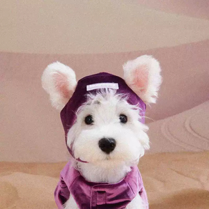 Designer Dog passt Haustier Kleidung Zubehör Niedliche bequeme umwelt freundliche Samt hüte Geeignet für Dackel Winter Weihnachts mützen - Product Image 2