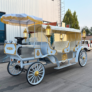 Nouvelle Carrosse Électrique Citrouille Yiyang pour Mariage et Visites Touristiques, Modèle <span class=keywords><strong>Cendrillon</strong></span>, 4-6 Personnes, Couleurs Personnalisables - Product Image 6