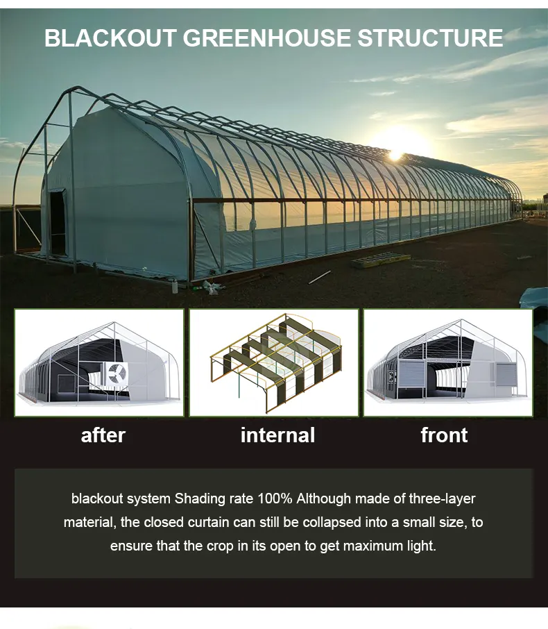 Manufacturing High Quality Light Deprivation Multi-Span Agricultural Greenhouses For Herb