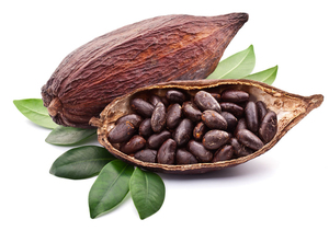 Cacao <span class=keywords><strong>en</strong></span> <span class=keywords><strong>Polvo</strong></span> Alcalinizado Holandés Procesado a Granel - Product Image 3