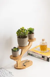 Prateleira organizadora de plantas de mesa de 2 camadas, suporte de madeira de bambu para plantas, suporte para decoração de casa, suporte de mesa para plantas suculentas