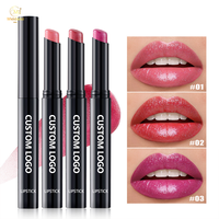 Kit de rouge à lèvres personnalisé avec logo, rouge scintillant, rose, imperméable, anti-adhésif, halal, rouge à lèvres nude luxueux, velours mat scintillant