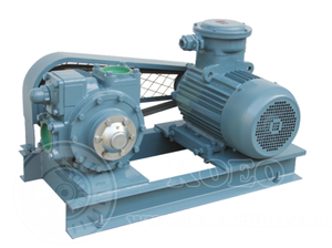 ريشة دوارة انزلاقية من سلسلة <span class=keywords><strong>Blackmer</strong></span> YB ذاتية التحضير ديزل 2 "-4" لنقل الوقود الصناعي - Product Image 4