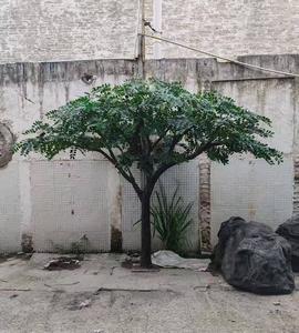 Árbol de <span class=keywords><strong>Acacia</strong></span> Artificial, Planta Verde, Decoración del Hogar, Jardín de Hotel, Paisaje, Bonsái - Product Image 5
