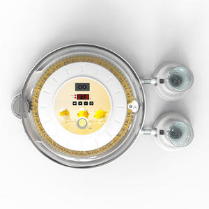 Incubateur automatique Yun <span class=keywords><strong>de</strong></span> petite taille pouvant accueillir 18 œufs, adapté aux poulets, aux oies, aux oiseaux, aux canards et aux reptiles - Product Image 2