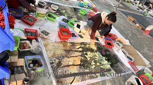 Art <span class=keywords><strong>mural</strong></span> personnalisé <span class=keywords><strong>en</strong></span> mosaïque, carreaux faits à la main, art <span class=keywords><strong>mural</strong></span> moderne <span class=keywords><strong>en</strong></span> verre, décoration de luxe <span class=keywords><strong>en</strong></span> mosaïque pour salle de bain - Product Image 2