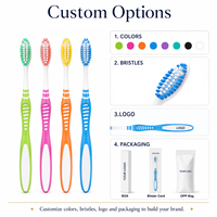 Brosse à dents à poils souples, moyens ou durs, brosse à dents pour adultes, logo personnalisé, emballage personnalisé, moule personnalisé, CE FDA