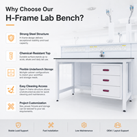 Système de mobilier de laboratoire en H personnalisé pour projets de laboratoire évolutifs avec rangement modulaire et plan de travail résistant aux produits chimiques