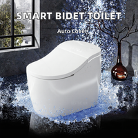 Kloset Keramik Pintar dengan Bidet Terintegrasi, Pemasangan di Lantai, Kontrol Jarak Jauh, Dudukan Berpemanas, Buka Tutup Otomatis, Kloset Keramik Elektrik Otomatis dengan Bidet