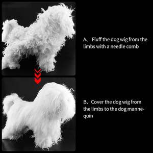 Pet kedi bakım köpek manken için fabrika doğrudan özelleştirilebilir köpekler modeli - Product Image 2