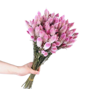 ดอกไม้<span class=keywords><strong>สาคู</strong></span>ธรรมชาติสำหรับตกแต่งงานแต่งงาน - Product Image 2