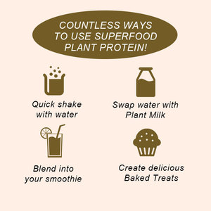 Organik bezelye proteini karışımı bitki bazlı Superfood vitamin ve mineraller açısından zengin yemek değiştirme Vegan <span class=keywords><strong>Protein</strong></span> tozu - Product Image 4