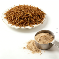 Poudre de vers de farine dégraissés en vrac, protéine d'insectes pour l'alimentation des poulets, nourriture pour poissons d'aquarium, nourriture pour oiseaux, friandises pour animaux de compagnie, compléments alimentaires