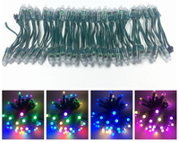 Module de pixels LED DC5V Pixel LED Ws2811 12mm IP68 Adressable Pleine couleur RVB Signal lumineux publicitaire Lumière de pixel LED