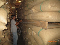VIETNAM ROBUSTA COFFEE GREEN BEANS S20 New Crop High Quality Low Price Top Factory-HANFIMEX 0084374074818 Grade 1 Wet Polished