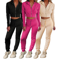 थोक कस्टम लोगो प्रशिक्षण टहलना पहनें पसीना सूट सेट Sweatsuit Tracksuits महिलाओं के लिए