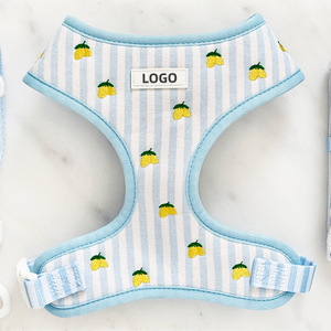 Arnés para Perro Antijalones OEM con Bordado Personalizado y Juego de Correas y Collares Ajustables para Mascotas - Product Image 2