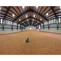 Structure en acier préfabriquée moderne pour arène équestre, manège métallique, étable en acier léger pour l'élevage à la ferme