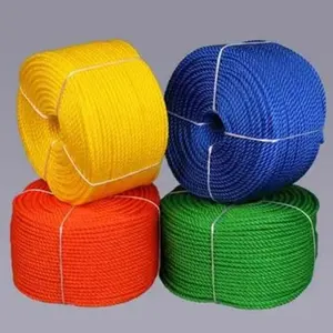 Cordon de corde de pêche en plastique torsadé de corde de monofilament de PE d'approvisionnement d'usine professionnel