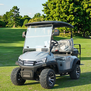 Carrito de Golf Eléctrico de 2 Plazas en Oferta, Carro de Club para Adultos, Homologado para Circular por la Calle, 48V, Certificado por la CEE - Product Image 1