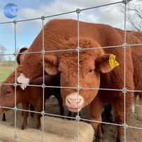 Clôture de jardin galvanisée anti-corrosion, grillage durable pour bétail avec ligne de signalisation rouge sur le dessus pour la sécurité des cerfs, des chèvres et des chevaux