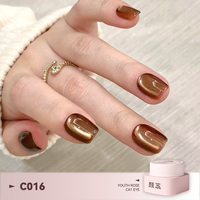 Gel magnétique œil de chat Youth Rose 30 couleurs avec pinceaux pour nail art, super brillant, à retirer par trempage, compatible UV LED, fournitures de vernis à ongles