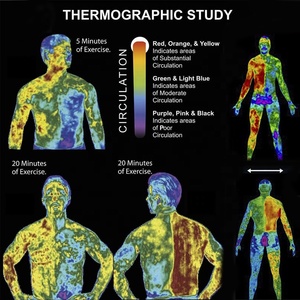 Crema Caliente Moldeadora Corporal para Adelgazar, Reafirmante Corporal, Eliminador de Celulitis, Aceite de Coco, Crema para Sudar, Potenciador de Entrenamiento - Product Image 6