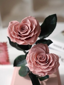 Rose éternelle préservée, boîte en acrylique, amour éternel, cadeau pour la Saint-Valentin, vente chaude, fleurs au toucher réel - Product Image 5