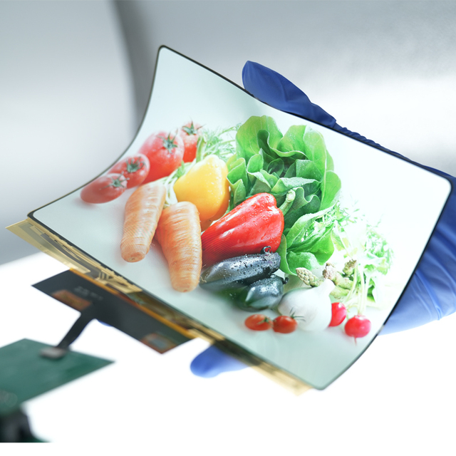 8 Inch Flexible OLED Display Module 2480x1860 MIPI Interface Amoled Touchscreen E-Paper High Resolution 2480x1860 OLED Display