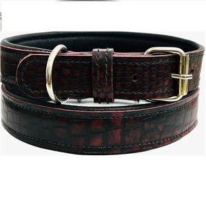 ปลอกคอสุนัขบุด้วยแสงนีออนสีดำคุณภาพสูงดีไซน์หนังอย่างยั่งยืนปลอกคอสัตว์เลี้ยงขายส่ง - Product Image 2