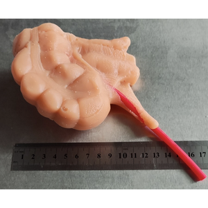 Kyrenmed 3D Ruột Thừa mô hình với 2mm hoặc 5mm mô phỏng mạch máu nội soi phẫu thuật đào tạo mô phỏng - Product Image 2